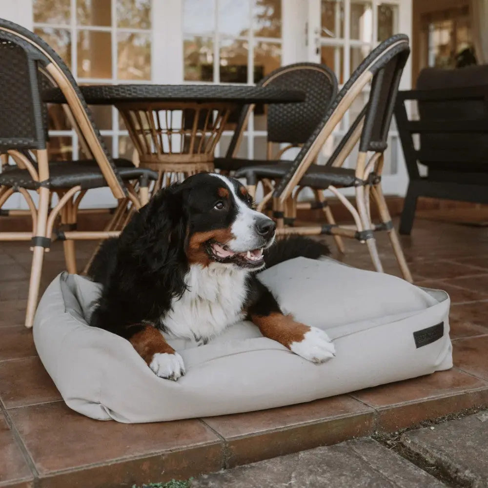 Cozy dog bed with a Bernese Mountain Dog relaxing outdoors on a patio.