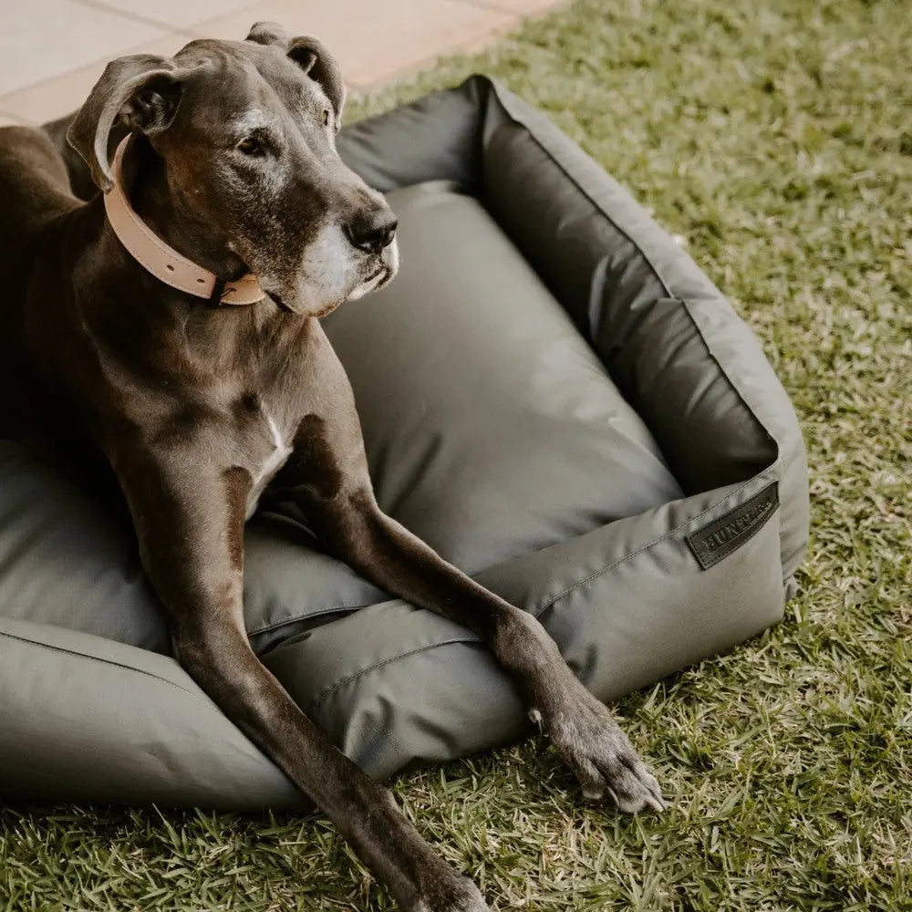 Dog resting comfortably on a stylish, durable pet bed in a grassy outdoor setting.