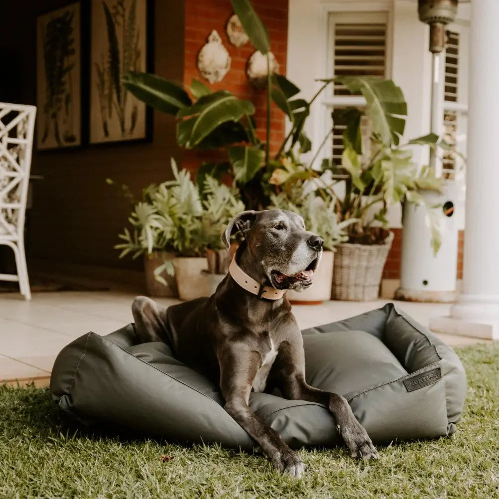 Comfortable dog bed with a relaxed dog lounging in a stylish outdoor setting.