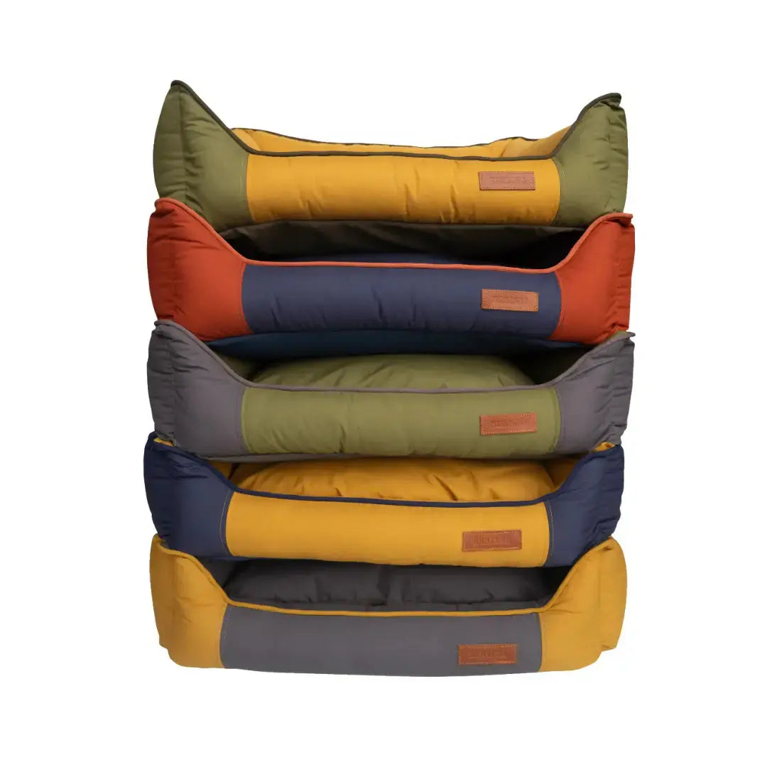 Huntlea Koletto Bolster All Season Dog Bed   | Canine & Co