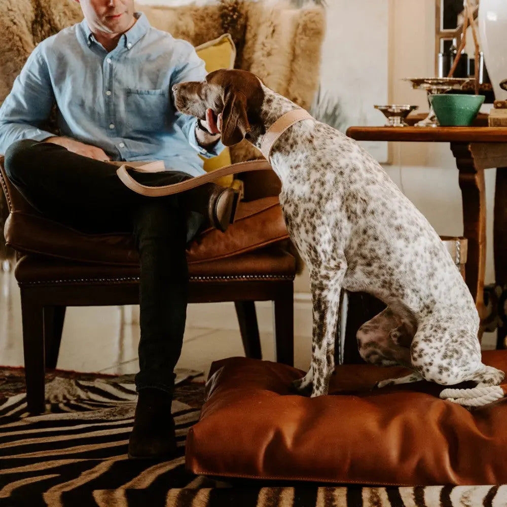 Man sitting with a dog on a cushion in a stylish living room setting.