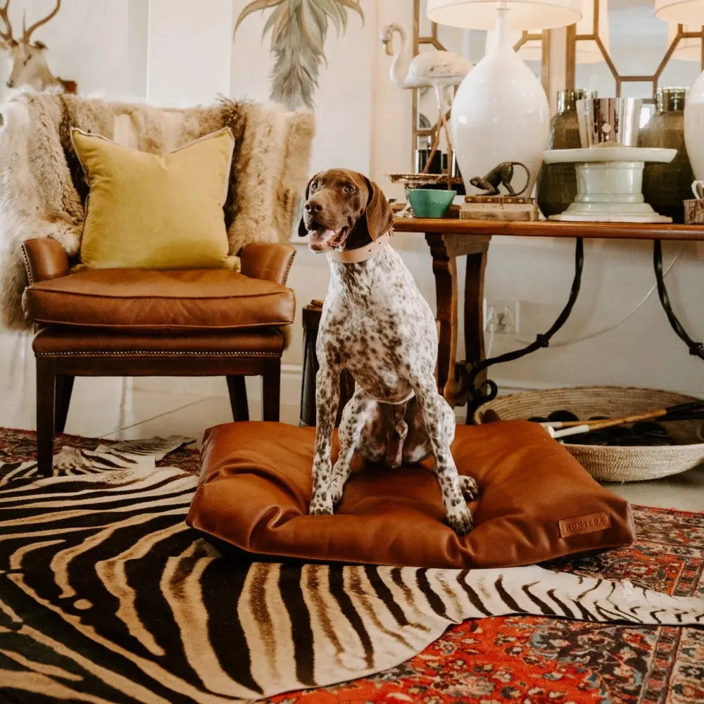 Dog resting on a stylish brown pet bed in a cozy, well-decorated living room.