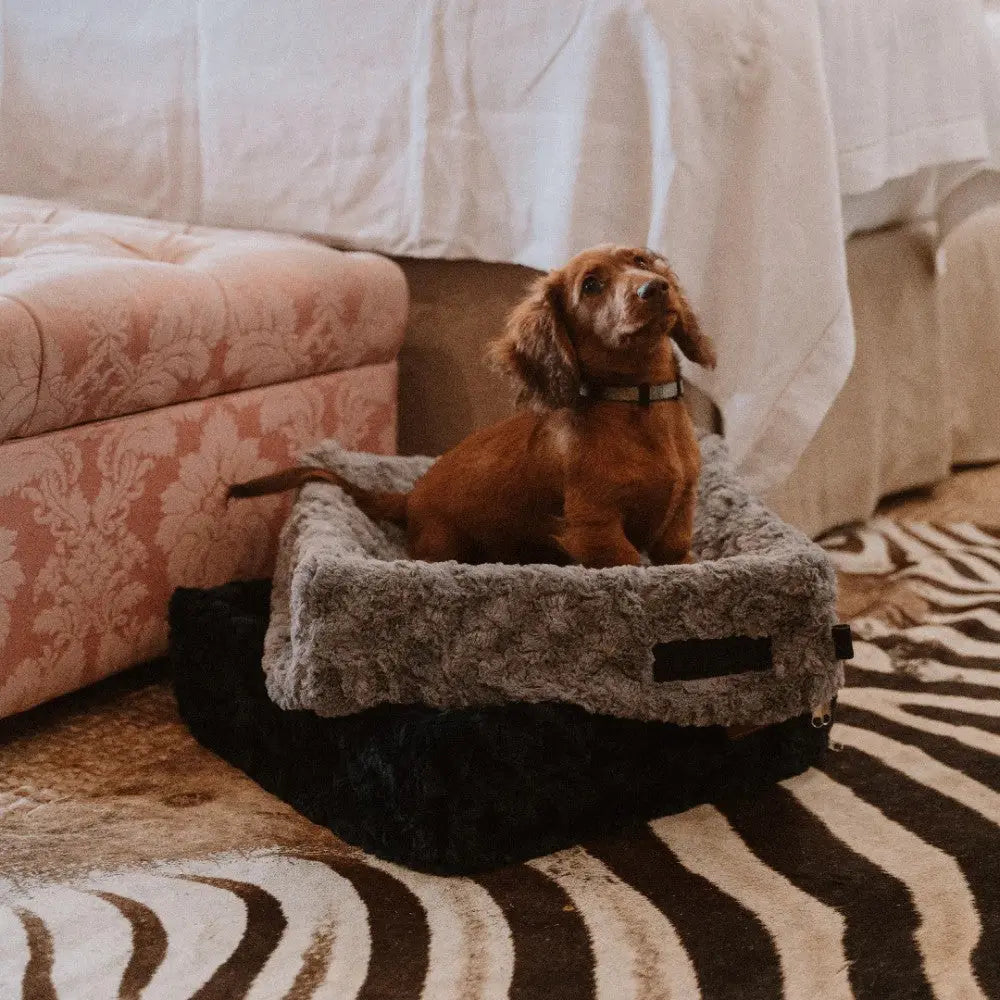 Huntlea Snooza Cube Pet Bed Lifestyle Image