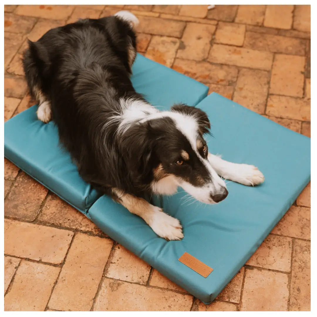 Huntlea Peacock Blue Cooling Mat