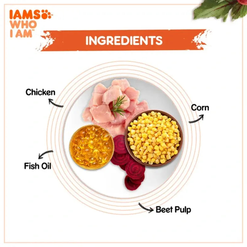 Ingredients for pet food: chicken, corn, fish oil, and beet pulp displayed on a plate.