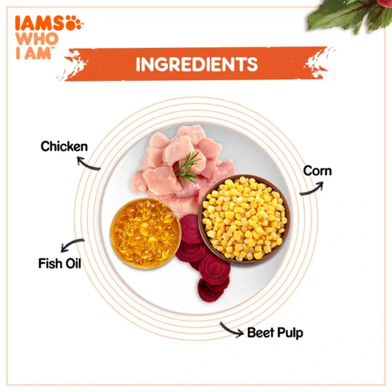 Ingredients for pet food: chicken, corn, fish oil, and beet pulp displayed on a plate.