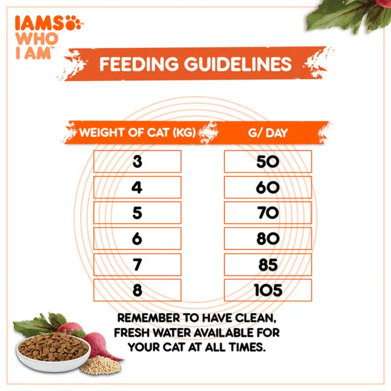 Feeding guidelines chart for cats based on weight, with recommended daily food amounts.