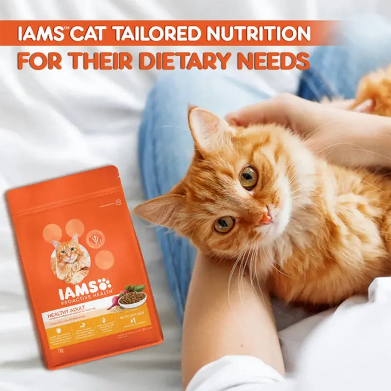 IAMS cat food bag with tailored nutrition for healthy adult cats and a ginger cat in a cozy setting.