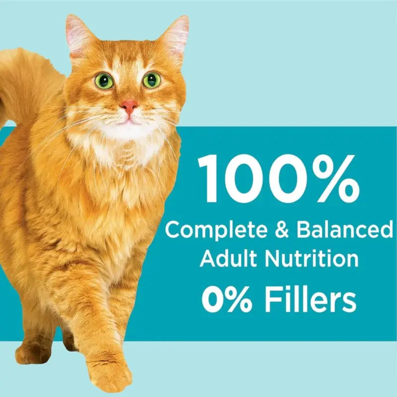 Orange cat with text promoting 100% complete and balanced adult nutrition with 0% fillers.