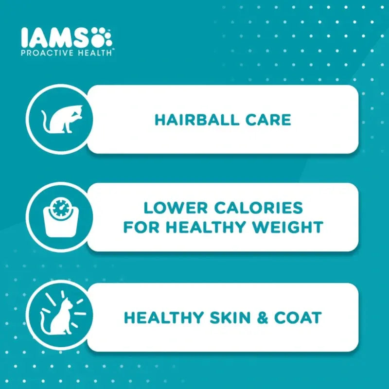 Infographic highlighting IAMS Proactive Health benefits: hairball care, healthy weight, and skin & coat health.