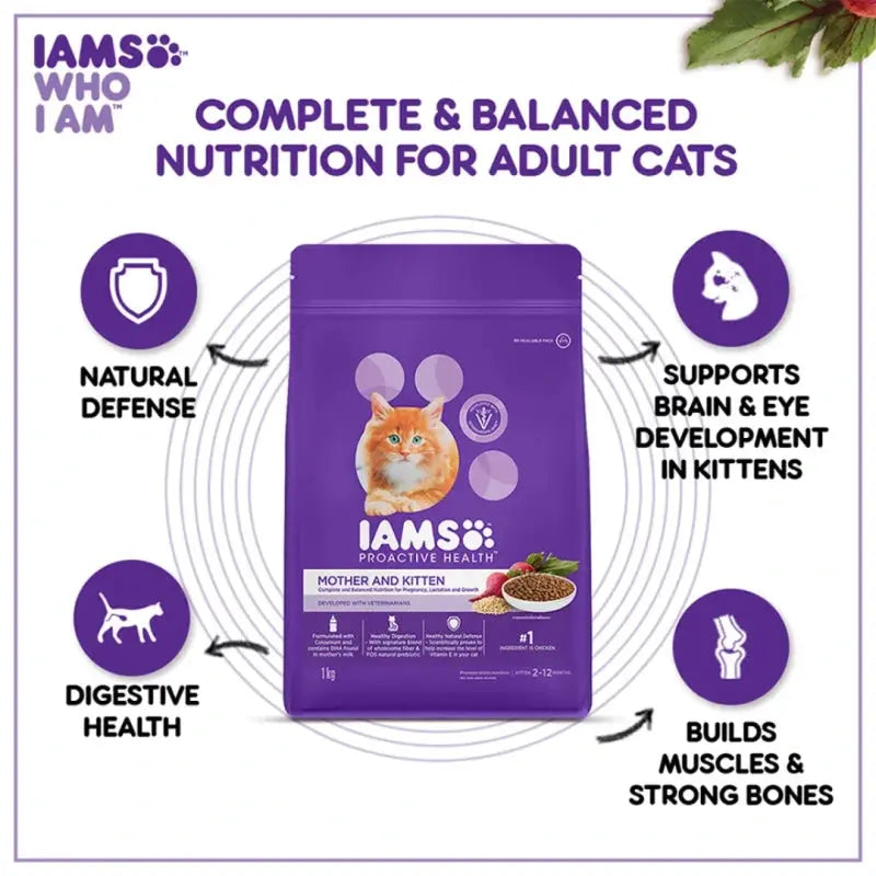 IAMS Proactive Health cat food bag for mother and kitten, promoting balanced nutrition and healthy development.
