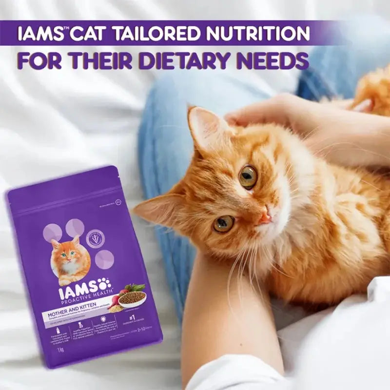 IAMS cat food bag with tailored nutrition for kittens, featuring a playful orange cat.