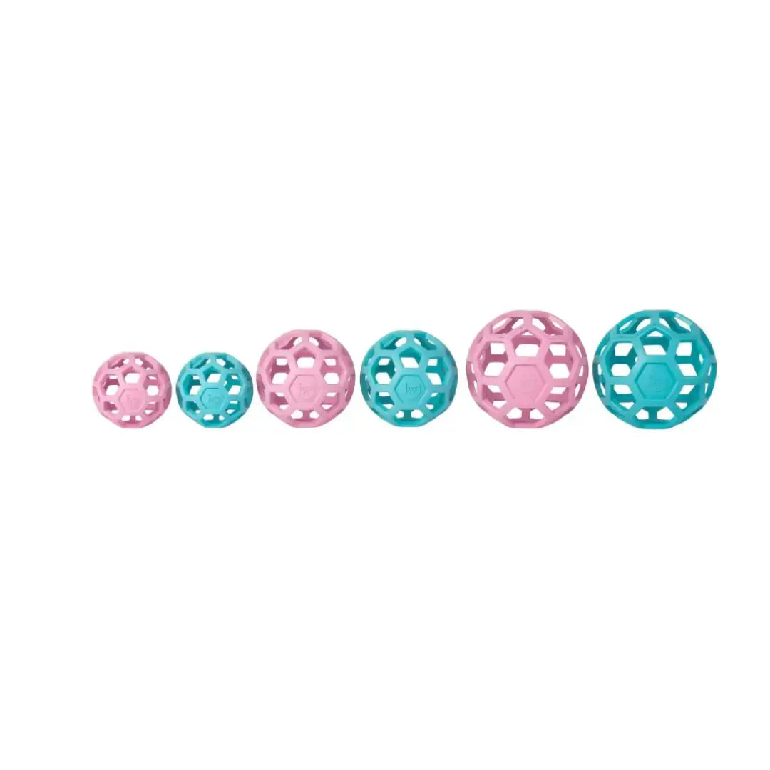 JW Hol-ee Roller Trend-Ee Dog Toy   | Canine & Co