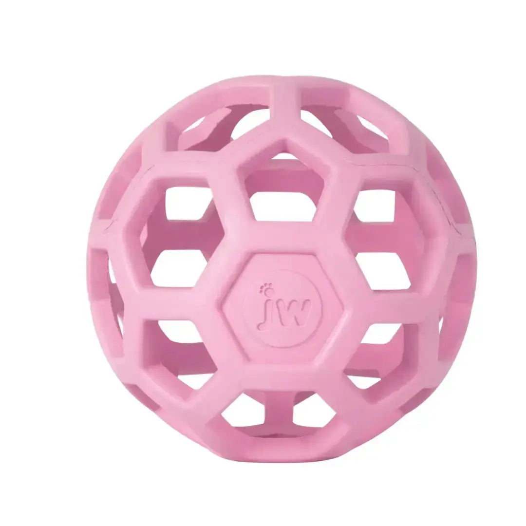 JW Pet Hol ee Roller Dog Ball Toy   | Canine & Co