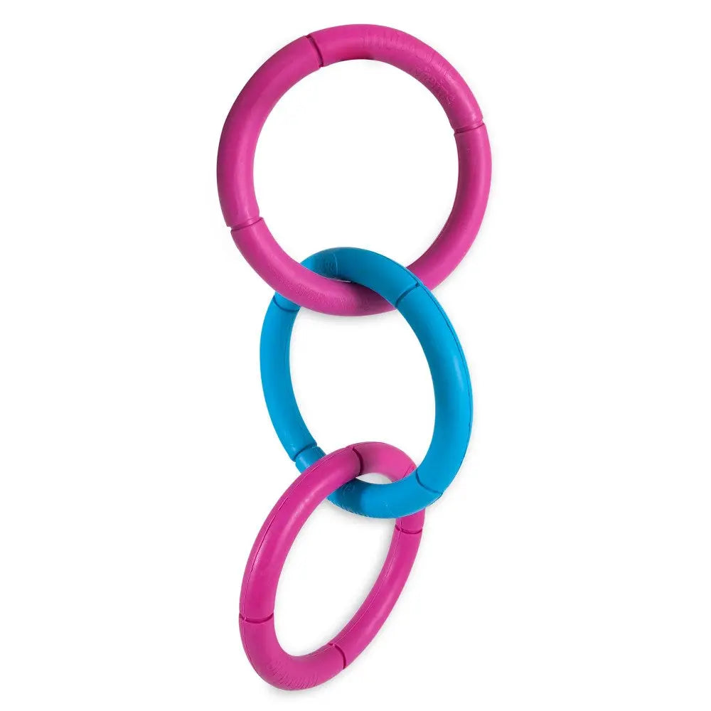 Colorful dog toy rings in pink and blue for interactive play and exercise.