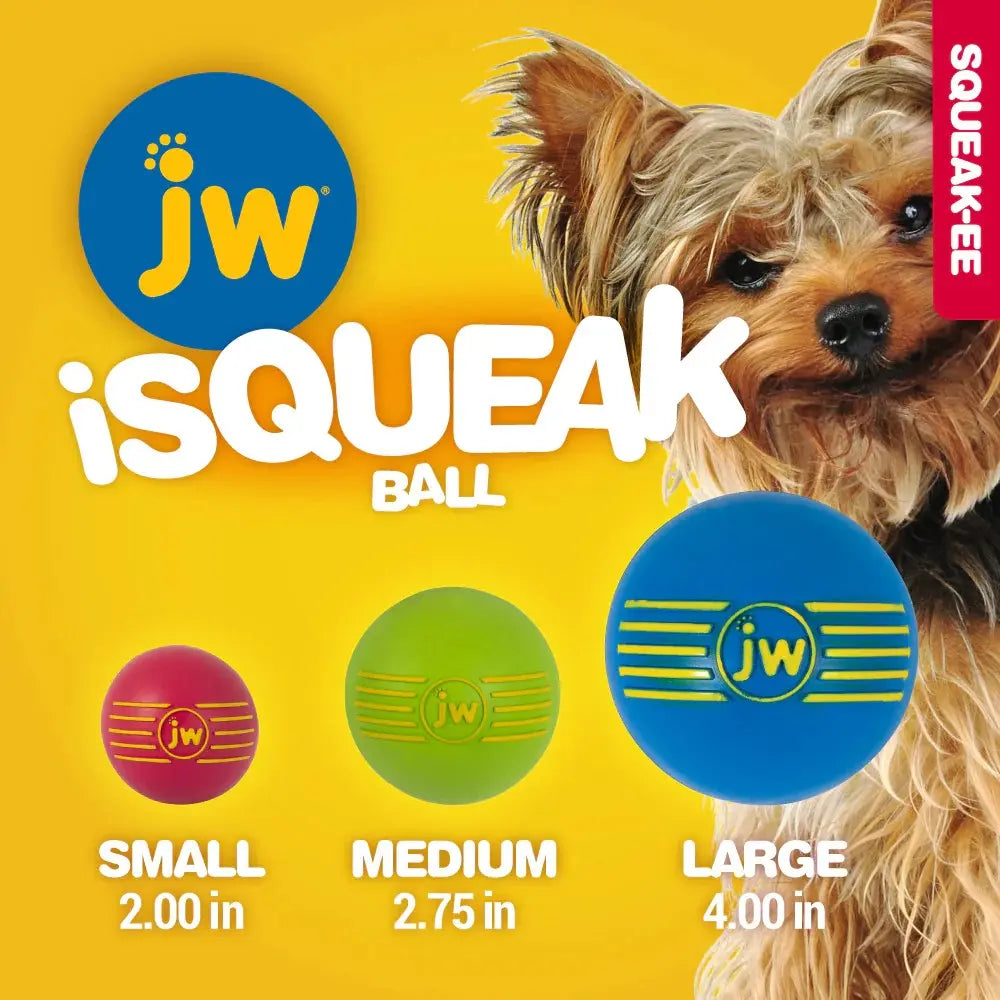 Colorful JW iSqueak balls in small, medium, and large sizes with a playful dog background.