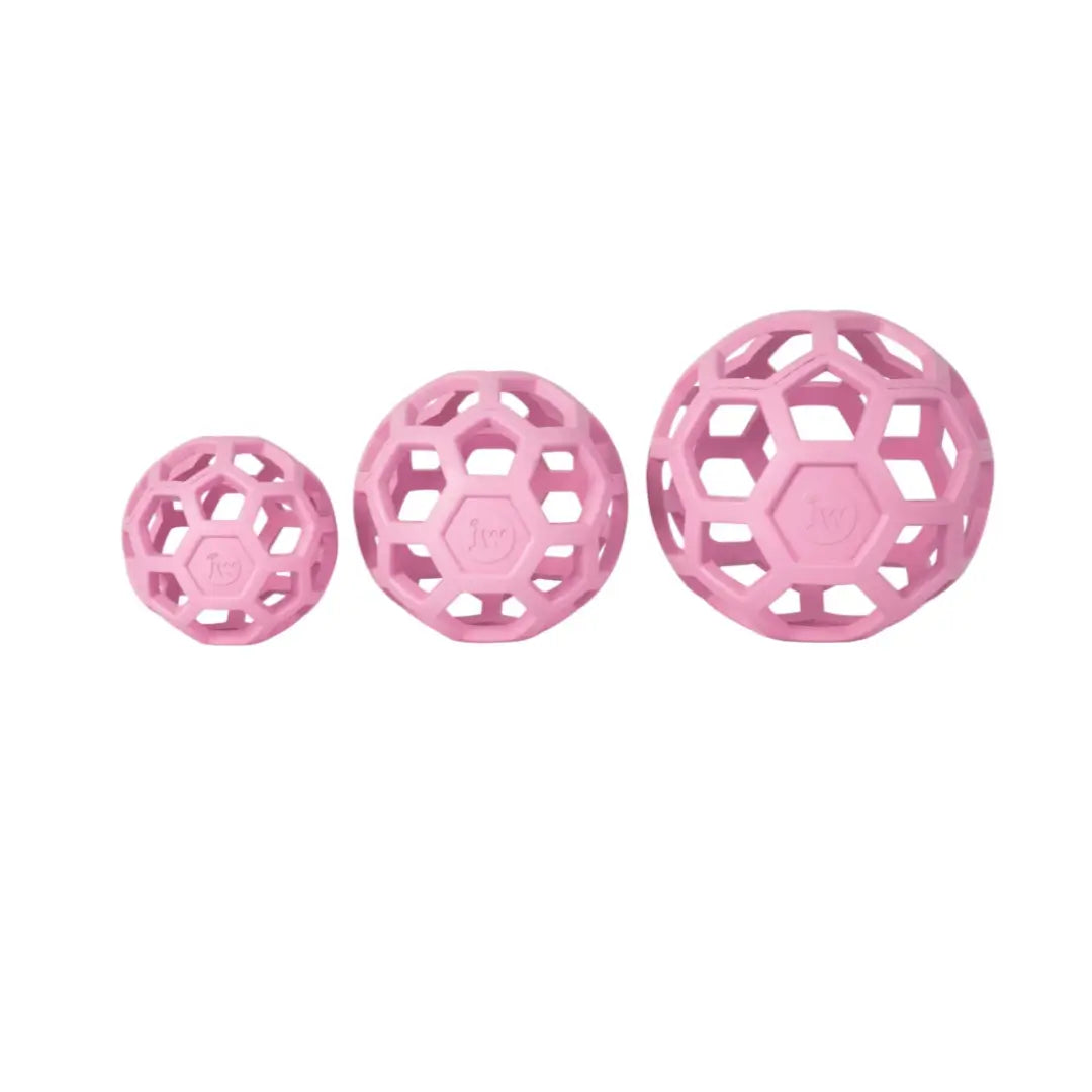 JW Hol-ee Roller Trend-Ee Dog Toy