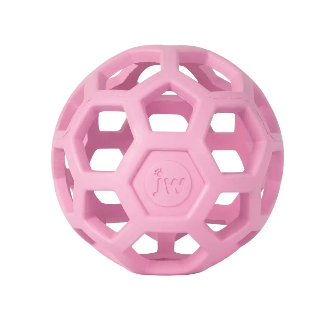 JW Hol-ee Roller Trend-Ee Dog Toy