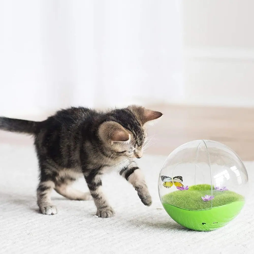 Playful kitten exploring a colorful interactive toy with butterflies and grass.