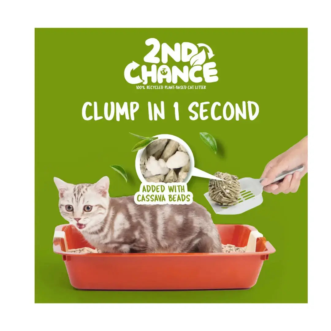 Kit Cat 2nd Chance Cat Litter   | Canine & Co
