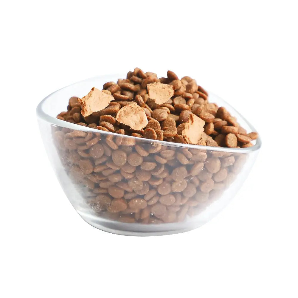 Bowl of dry pet food with crunchy kibbles and protein-rich chunks.