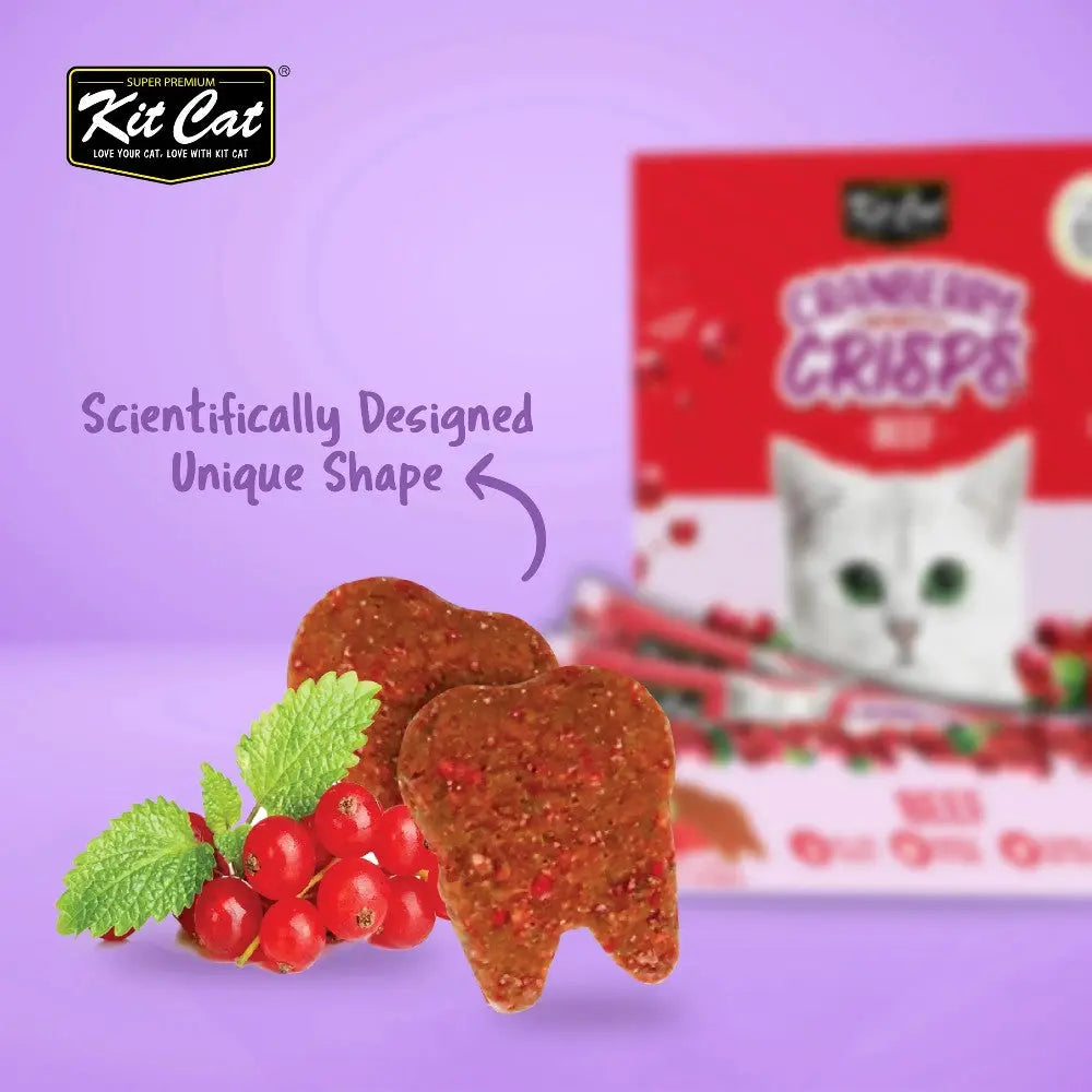 Kit Cat's scientifically designed cat treats in a unique shape with mint and berry flavor.