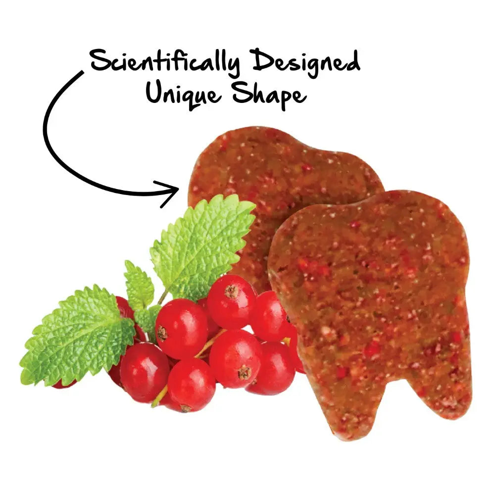 Scientifically designed dental chews shaped like teeth with fresh mint and red berries for optimal oral health.
