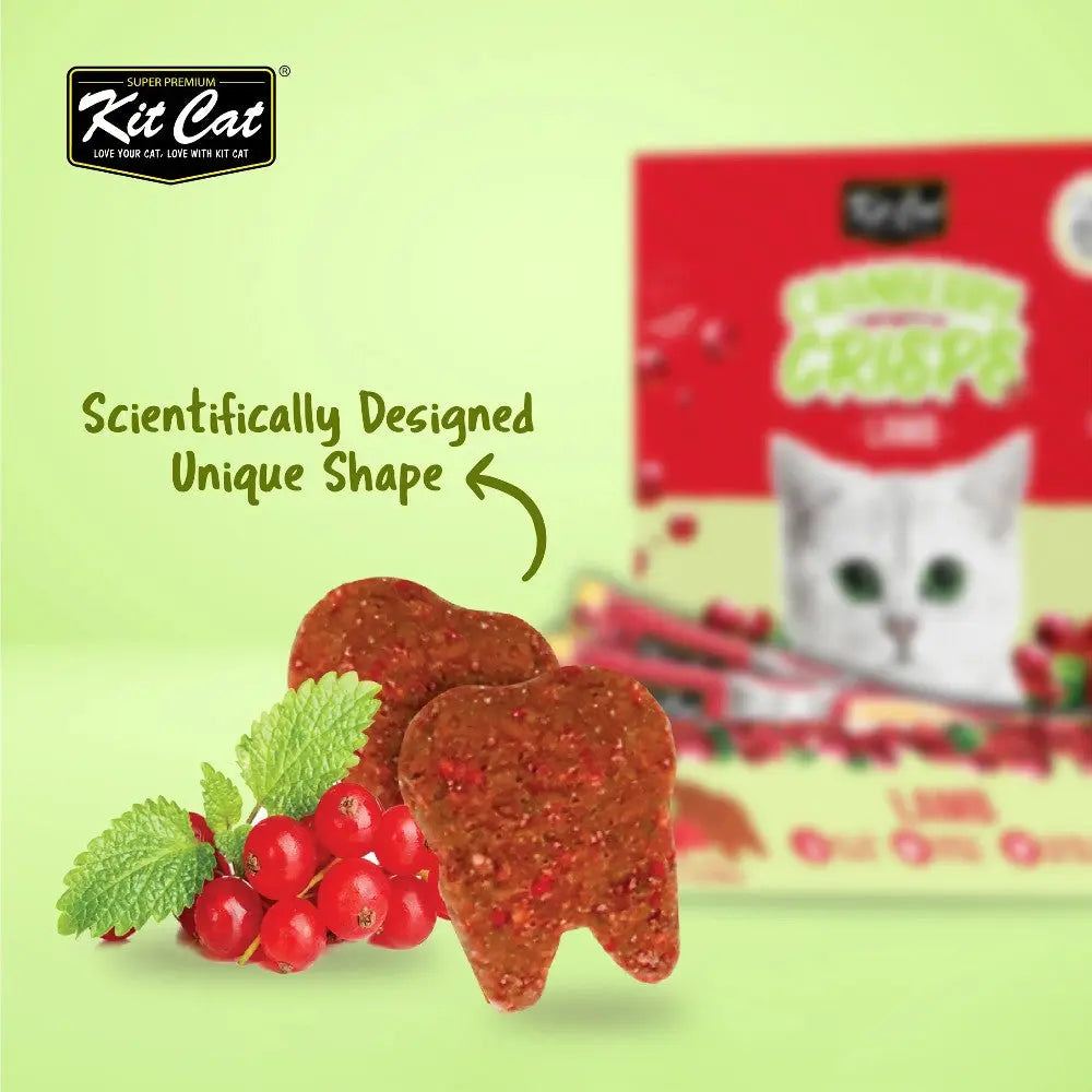 Kit Cat dental treats in a unique shape, promoting oral health for cats with natural ingredients.
