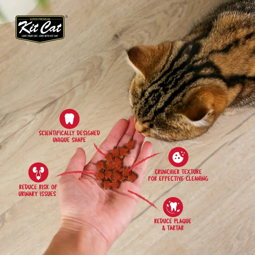 Scientifically designed cat food with unique shape for dental health and urinary support.