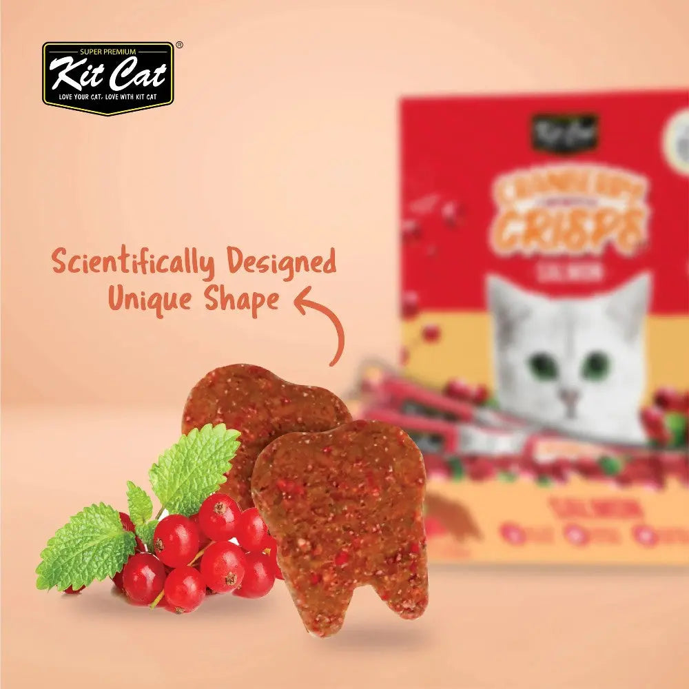 Kit Cat dental crisps in a unique shape, featuring mint and cranberry for cat dental health.