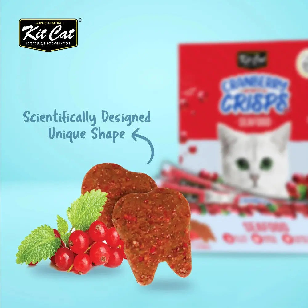 Kit Cat Crunchy Crisps with unique shape, featuring mint and berry flavors for healthy cat treats.