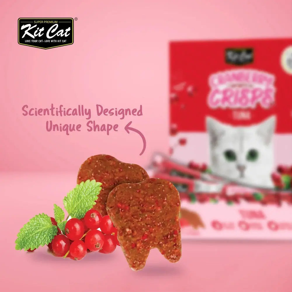 Kit Cat dental crisps with unique shape, featuring mint and berry ingredients for cat health.