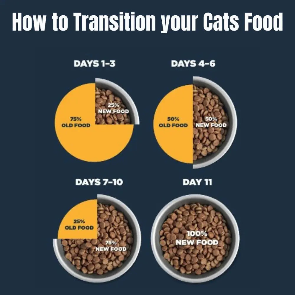 Infographic showing a 10-day guide to transitioning your cat's food with visual percentages.
