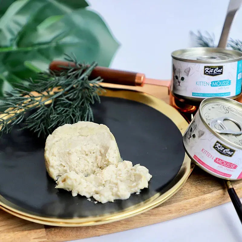 Kitten mousse served on a black plate with cans of cat food and greenery in the background.