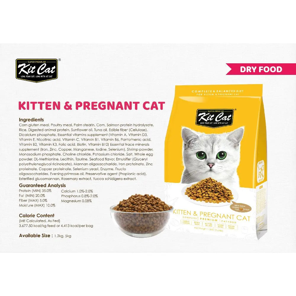 Kit Cat dry food for kittens and pregnant cats, featuring balanced nutrition and essential ingredients.