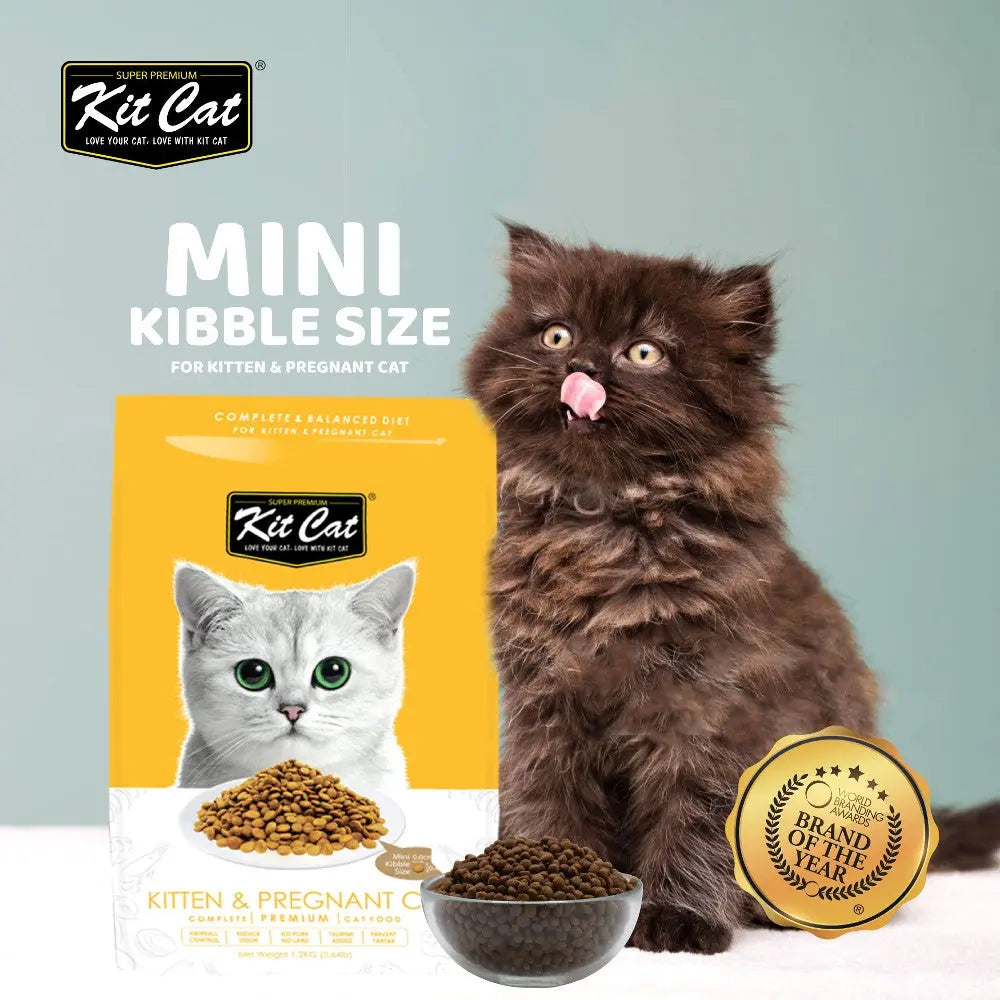 Kit Cat mini kibble for kittens and pregnant cats, featuring a balanced diet and appealing packaging.
