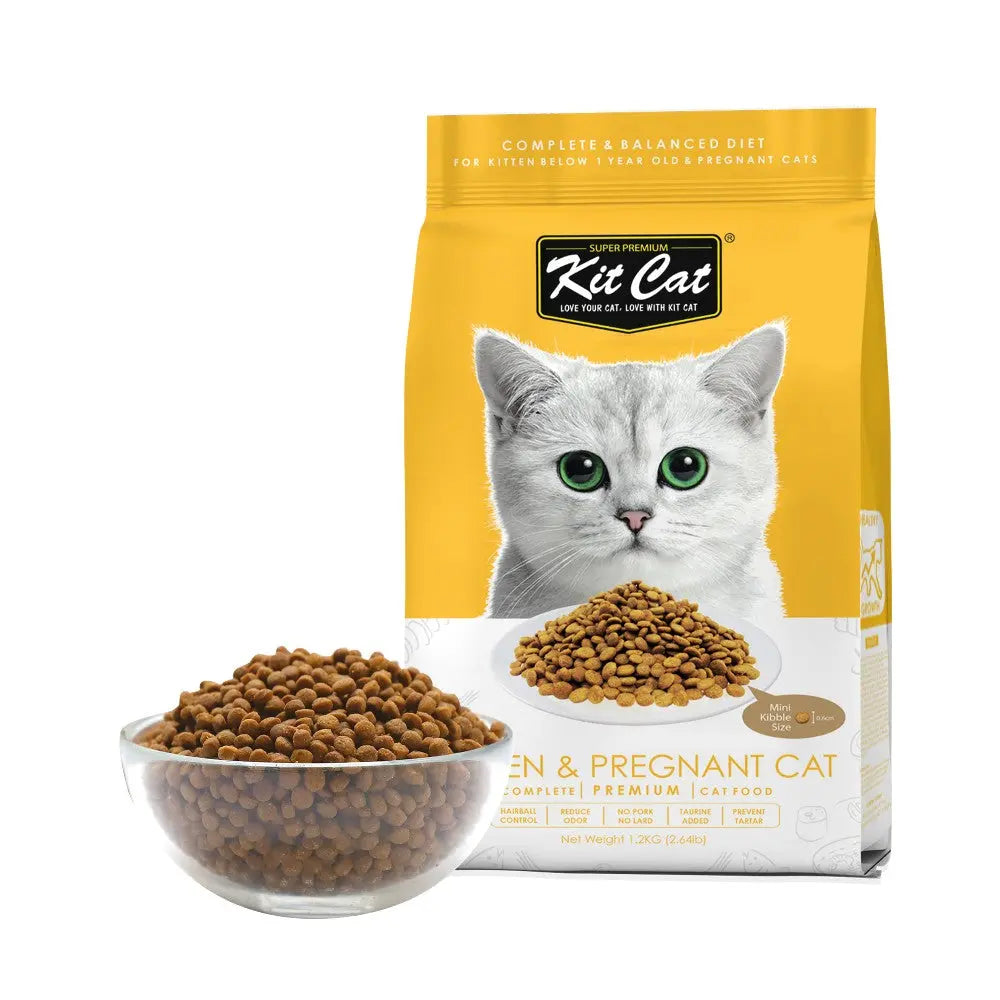 Premium cat food for kittens and pregnant cats in a bowl with packaging.