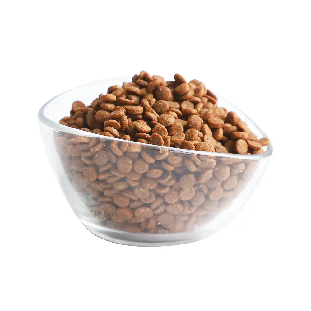 Bowl of dry pet food kibble, showcasing texture and color for optimal nutrition.