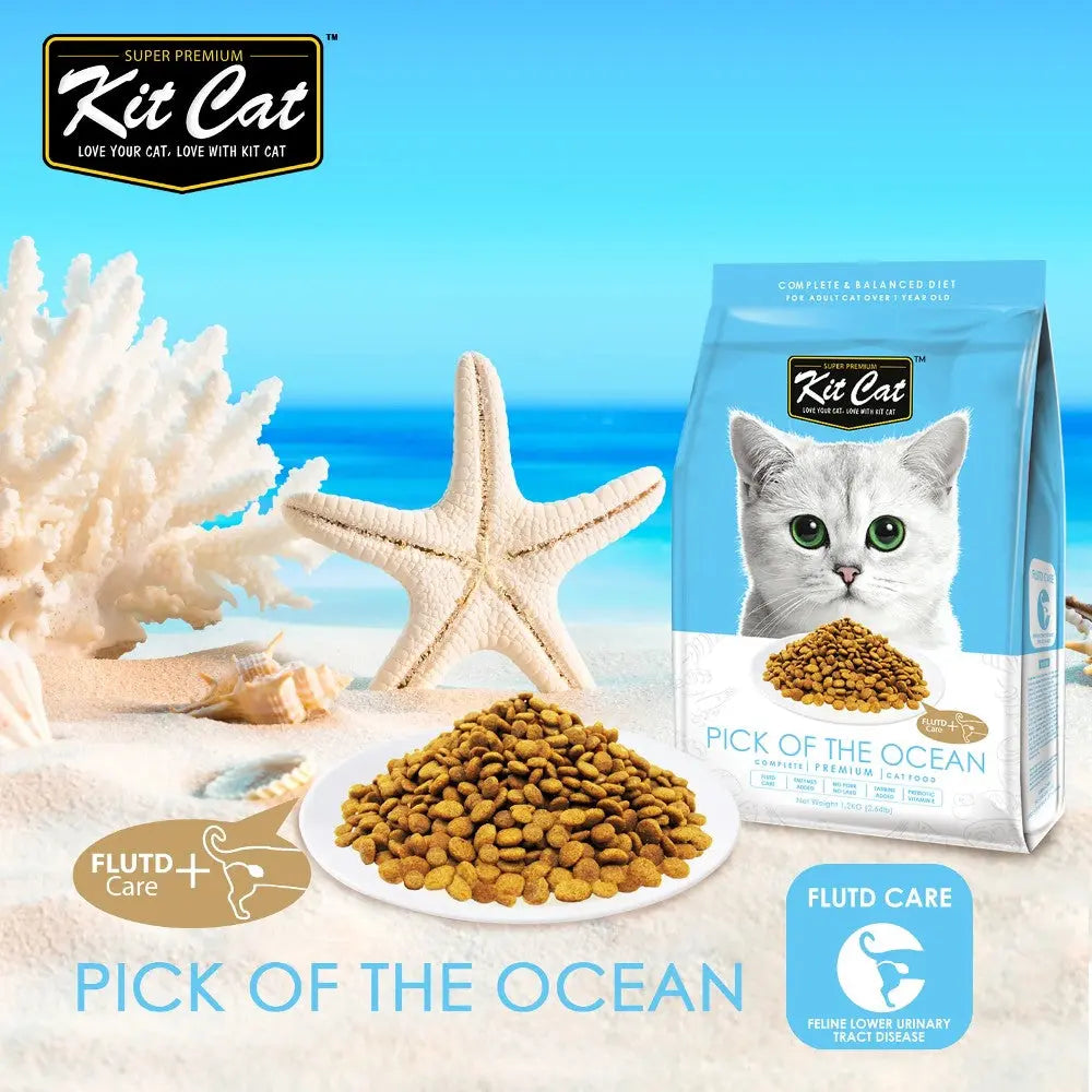 Kit Cat Pick of the Ocean cat food bag with kibble and a starfish on a sandy beach background.
