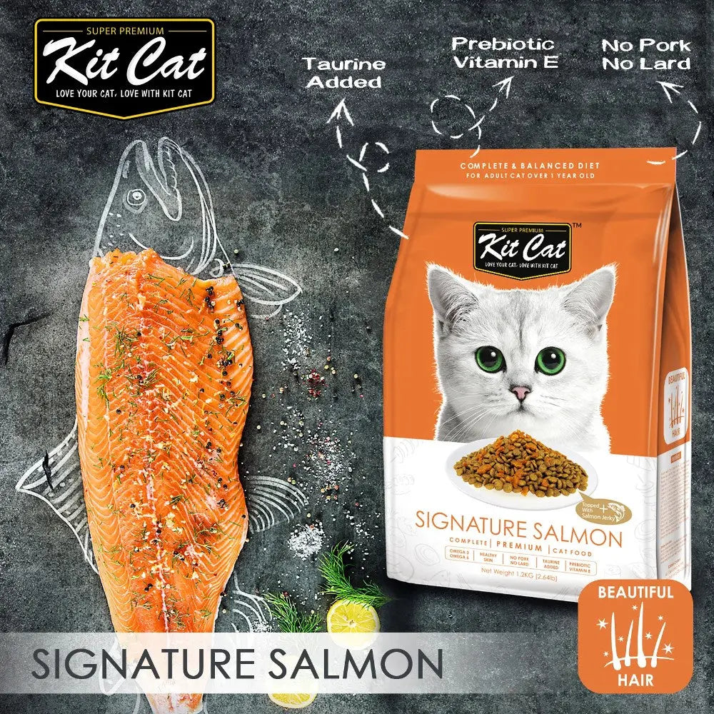 Kit Cat Signature Salmon cat food bag with salmon fillet, highlighting premium ingredients for healthy fur.