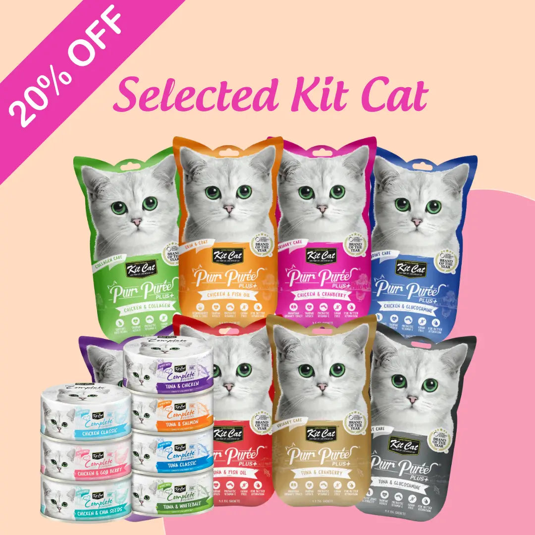 Up to 20% Off Kit Cat