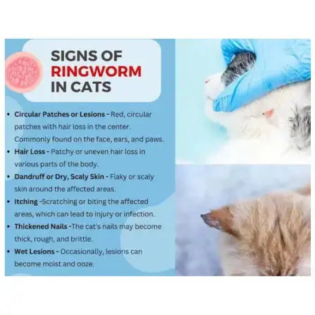 Kyron Ringworm Ointment   | Canine & Co