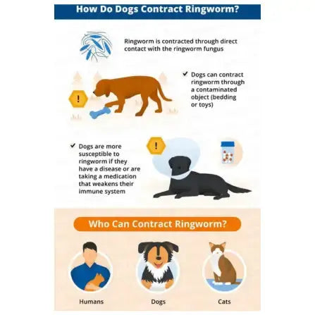 Kyron Ringworm Ointment   | Canine & Co