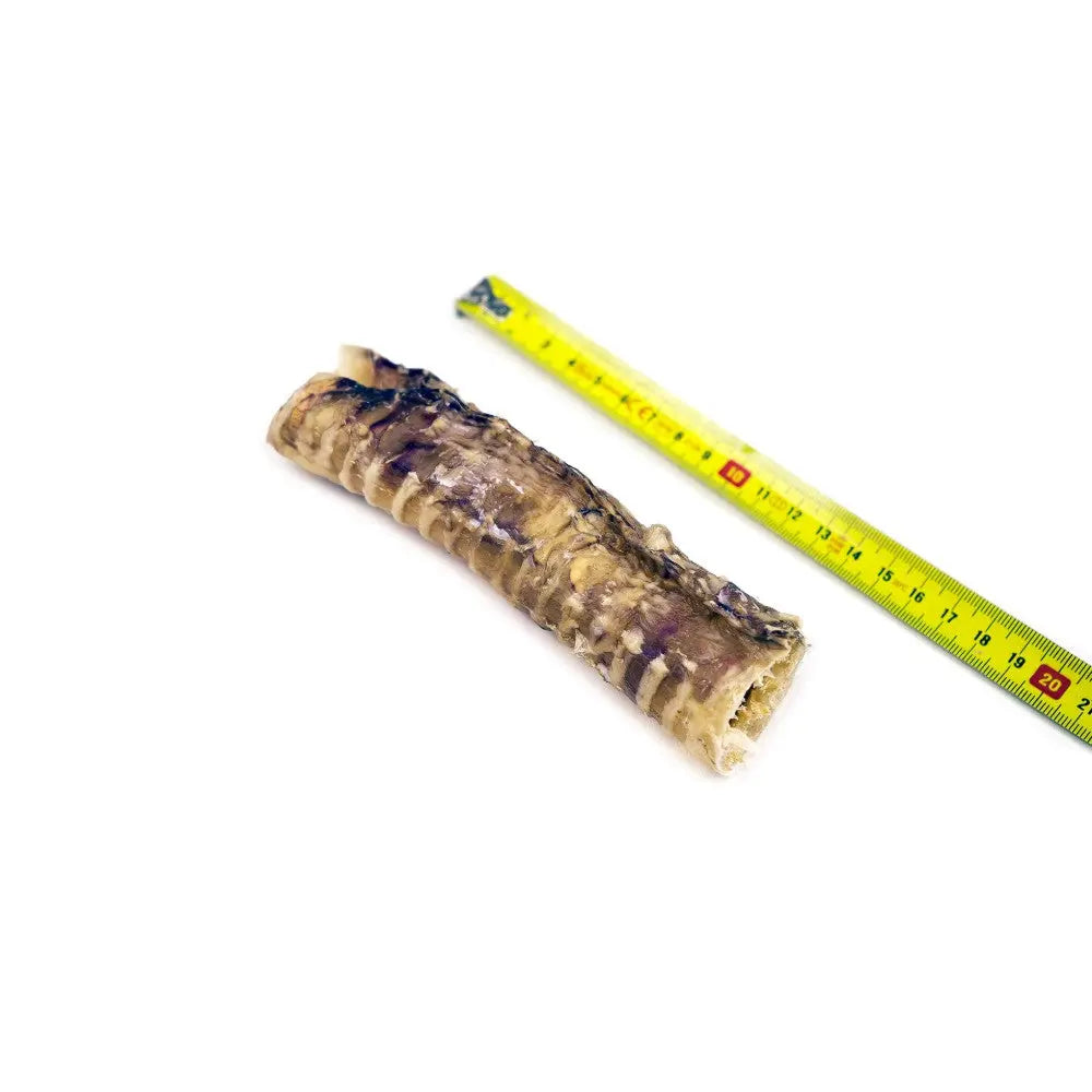 Natural dog chew, beef bone strip, measuring tape for size reference, healthy pet treat.