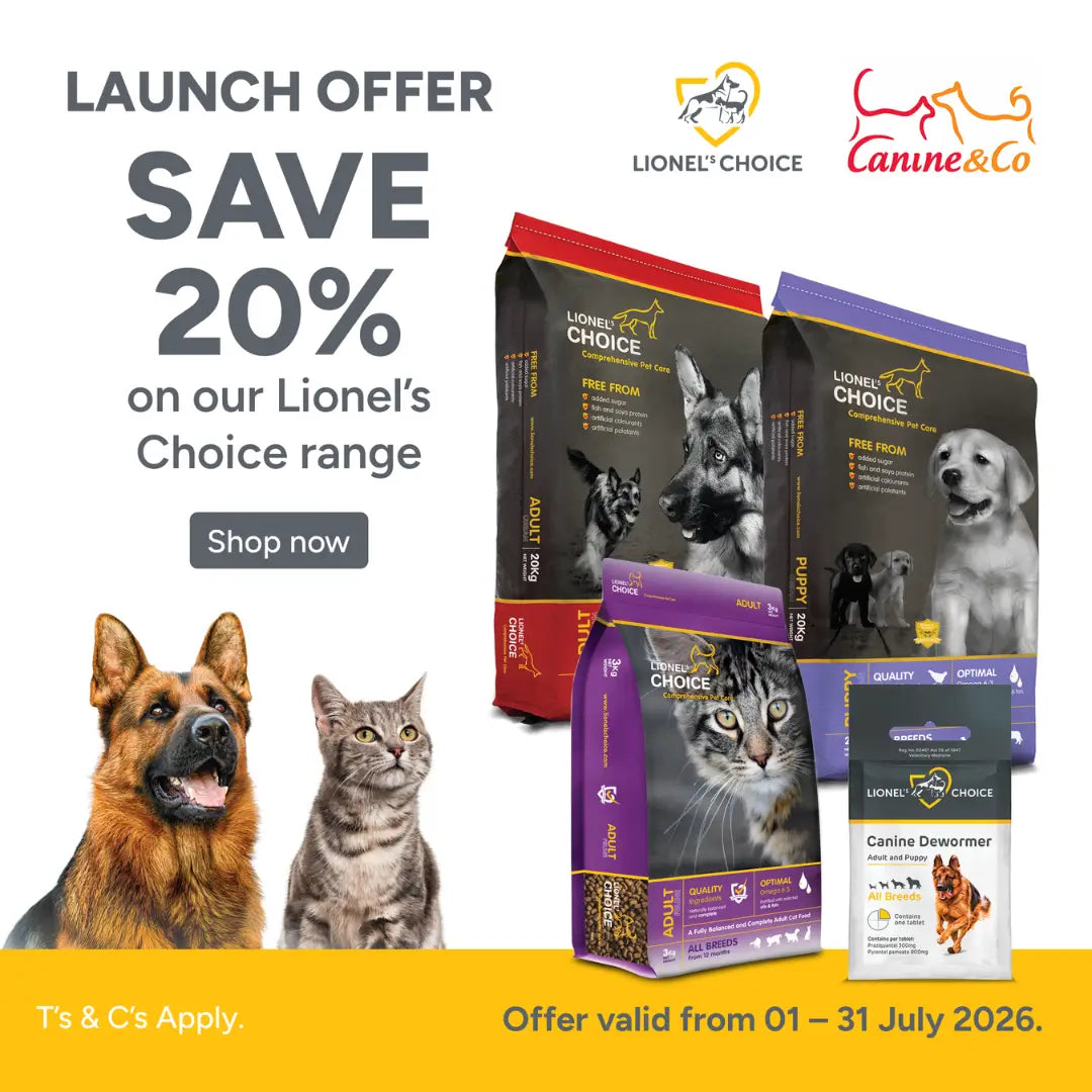 20% Off Lionel's Choice