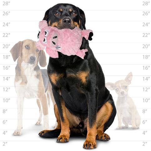 Mighty Angry Animals Pig Dog Toys - product detail image for South Africa