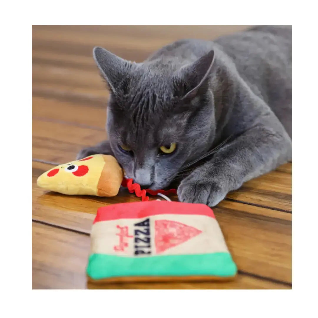 Mad Cat Purrfect Pizza Cat Toy   | Canine & Co