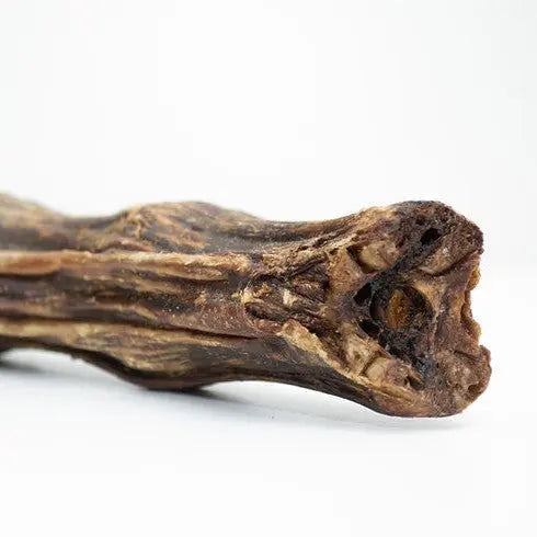 Natural dog chew stick, perfect for dental health and long-lasting enjoyment.