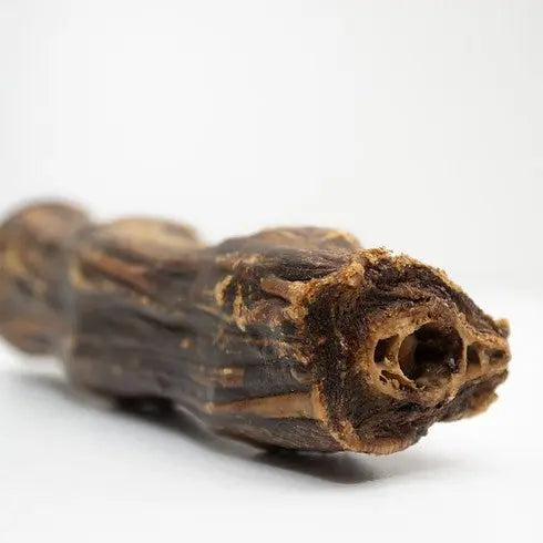 Natural dog chew stick, promoting dental health and satisfying chewing instincts.