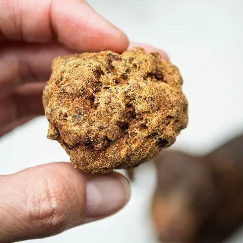Hand holding a textured, homemade cookie with a golden-brown color.